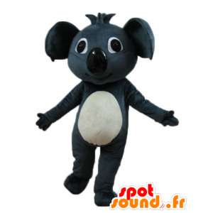 Mascotte de beau koala gris et blanc, géant - MASFR23253 - Mascottes Koala