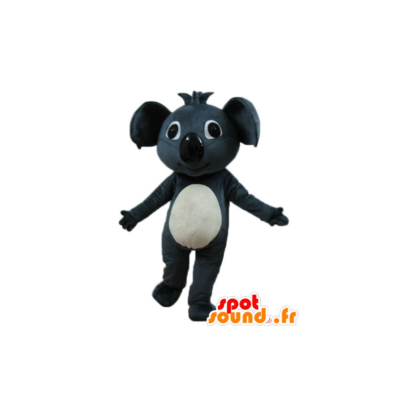 Mascot belo cinza e koala branco, gigante - MASFR23253 - Koala Mascotes