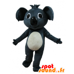 Maskot krásné šedé a bílé koala, obra - MASFR23253 - Koala Maskoti