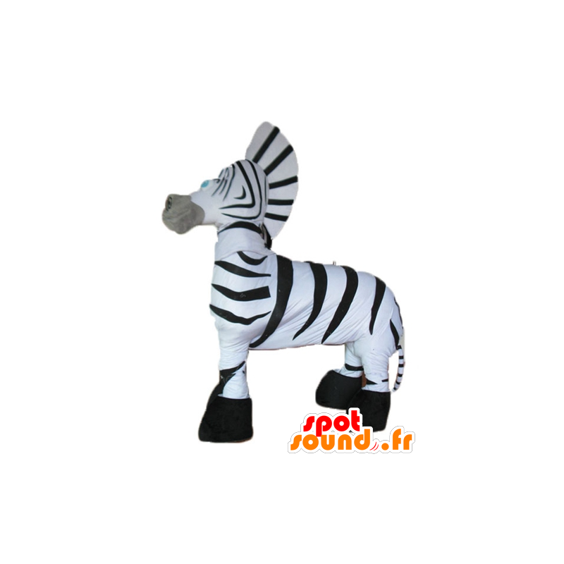 Mascotte de zèbre noir et blanc, géant et très réussi - MASFR23260 - Animaux de la jungle