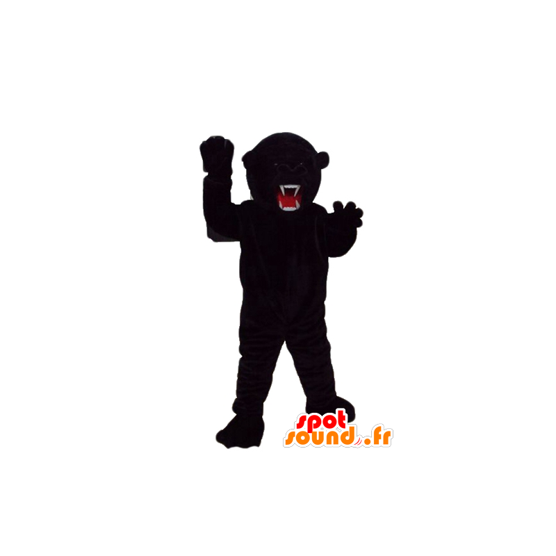 Mascot urso preto, de aspecto feroz, muito impressionante - MASFR23283 - mascote do urso