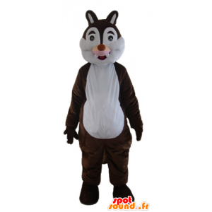 Mascot bruine en witte eekhoorn, Tic of Tac - MASFR23285 - mascottes Squirrel
