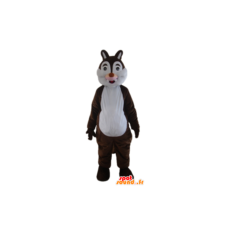 Mascot castanho e branco esquilo, Tic ou Tac - MASFR23285 - mascotes Squirrel