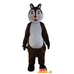 Brun och vit ekorre maskot, Tic eller Tac - Ekorre maskotar - MASFR23285 - SpotSound.fr