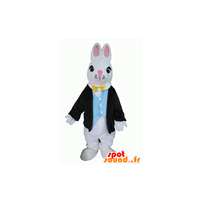 Blanca mascota conejo, vestido con un traje elegante - MASFR23297 - Mascota de conejo