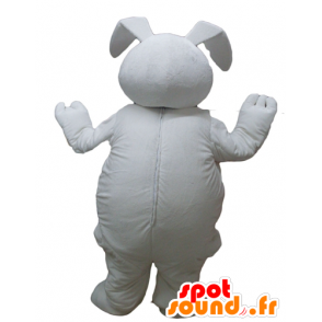 Groot wit konijn mascotte, mollig en schattig - MASFR23304 - Mascot konijnen