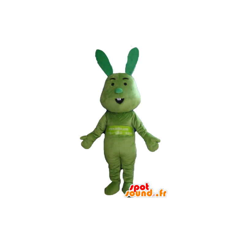 Alle groen, grappig en origineel konijn mascotte - MASFR23312 - Mascot konijnen