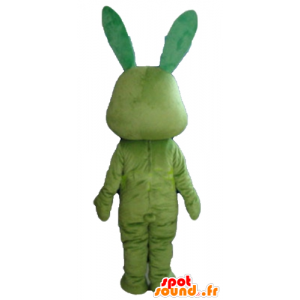 Todo verde, divertido y original de conejo mascota - MASFR23312 - Mascota de conejo