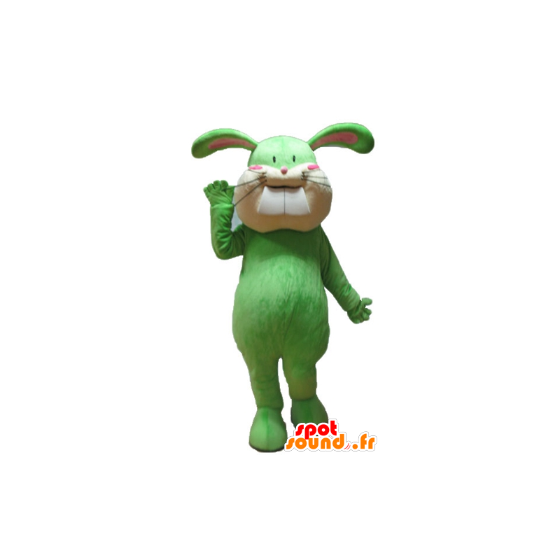 Green and beige rabbit mascot, soft and cute - MASFR23315 - Rabbit mascot