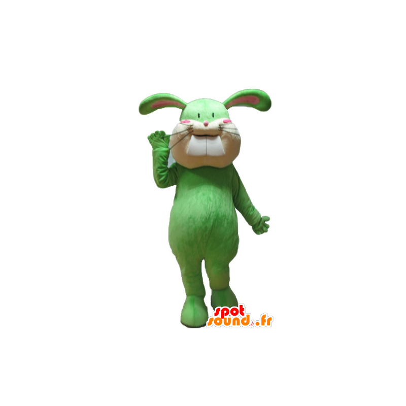 Verde y la mascota de conejo de color beige, suave y lindo - MASFR23315 - Mascota de conejo
