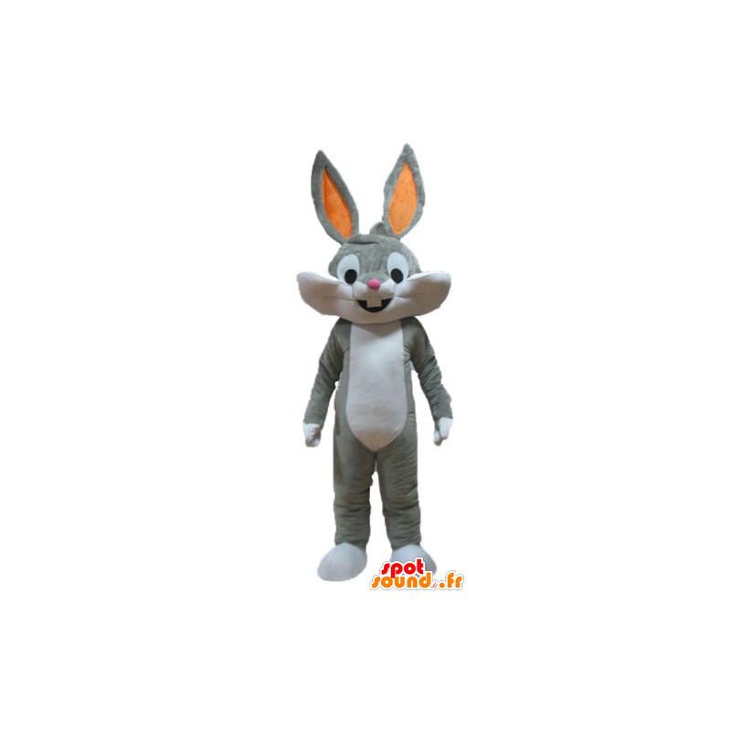 Bugs Bunny mascot, the famous gray rabbit Looney Tunes - MASFR23318 - Bugs Bunny mascots