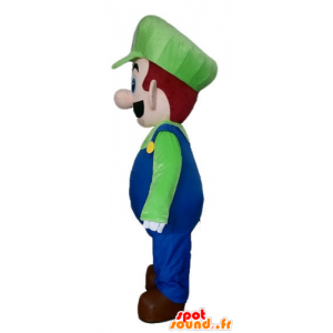 Luigi maskot, slavný charakter videohry - MASFR23345 - mario Maskoti