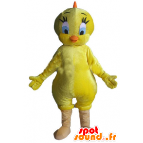 Mascotte de Titi, célèbre canari jaune des Looney Tunes - MASFR23367 - Mascottes TiTi et Grosminet