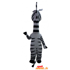Mascotte Marty la zebra famoso cartone animato Madagascar - MASFR23406 - Famosi personaggi mascotte