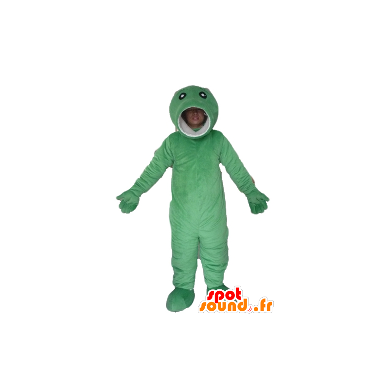 Große grüne Fisch Maskottchen, originell und lustig - MASFR23466 - Maskottchen-Fisch