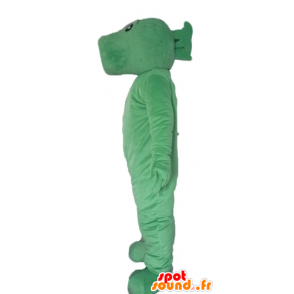 Grote groene vis mascotte, originele en grappige - MASFR23466 - Fish Mascottes