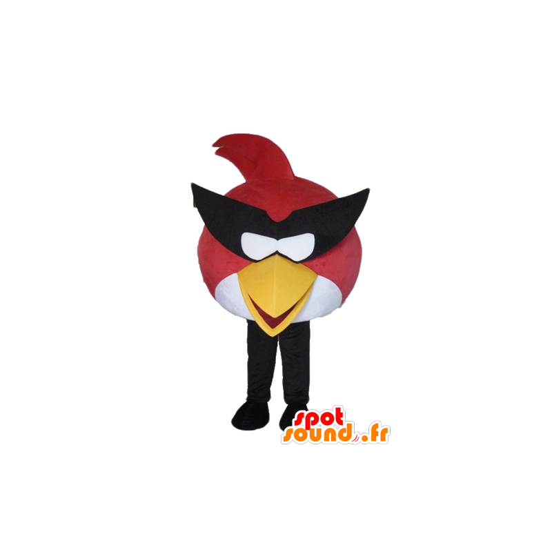 Mascote pássaro vermelho e branco, o famoso jogo Angry Birds - MASFR23482 - Celebridades Mascotes