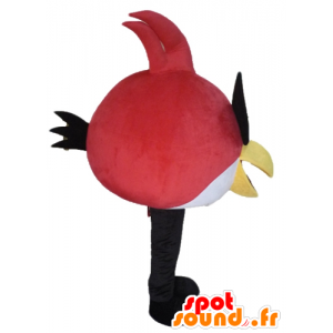 Mascote pássaro vermelho e branco, o famoso jogo Angry Birds - MASFR23482 - Celebridades Mascotes