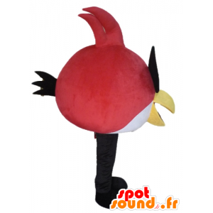 Red and white bird mascot, the famous game Angry Birds - MASFR23482 - Mascots famous characters