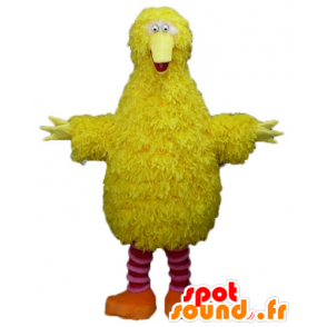 Mascot gelb und rosa Vogel, flaumig, lustig und behaart - MASFR23504 - Maskottchen der Vögel