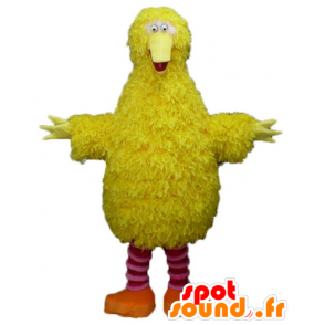 Mascotte d'oiseau jaune et rose, tout doux, rigolo et poilu - MASFR23504 - Mascotte d'oiseaux