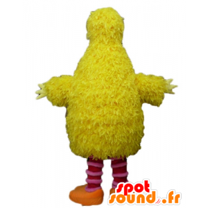 Mascot yellow and pink bird, fluffy, funny and hairy - MASFR23504 - Mascot of birds