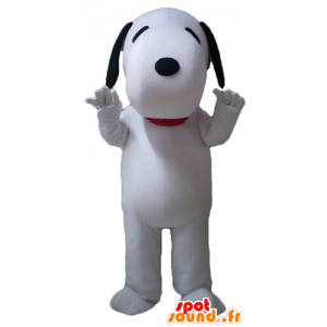 Snoopy mascot, the famous cartoon dog - MASFR23515 - Mascots Snoopy