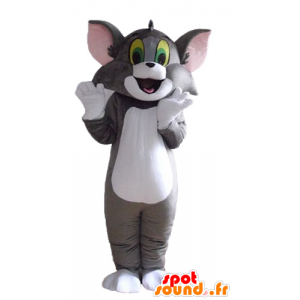 Tom mascotte, il famoso gatto grigio e bianco Looney Tunes - MASFR23551 - Mascotte Tom e Jerry