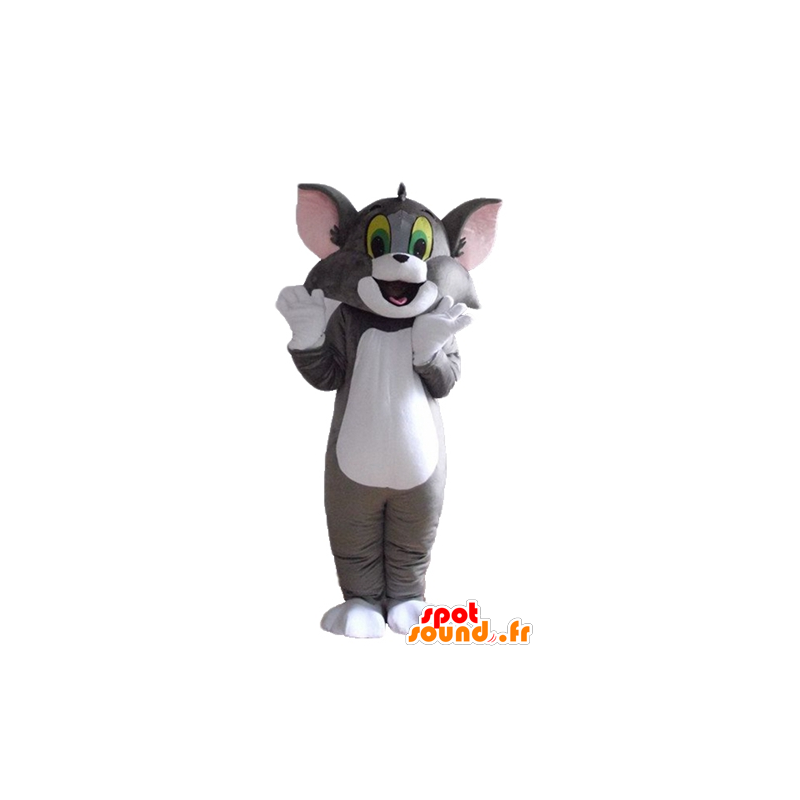Tom mascote, o famoso gato cinzento e branco Looney Tunes - MASFR23551 - Mascottes Tom and Jerry