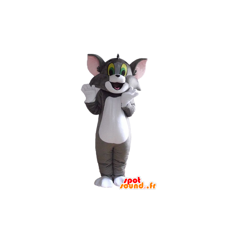 Tom mascotte, de beroemde grijze en witte kat Looney Tunes - MASFR23551 - Mascottes Tom and Jerry