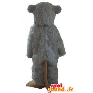 Mascotte large white rat, very hairy - MASFR23569 - Mouse mascot