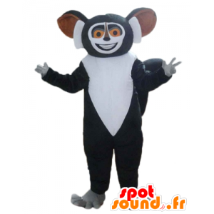 Mascot black and white lemur, cartoon Madagascar - MASFR23571 - Mascots famous characters