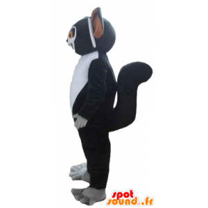 Mascot black and white lemur, cartoon Madagascar - MASFR23571 - Mascots famous characters