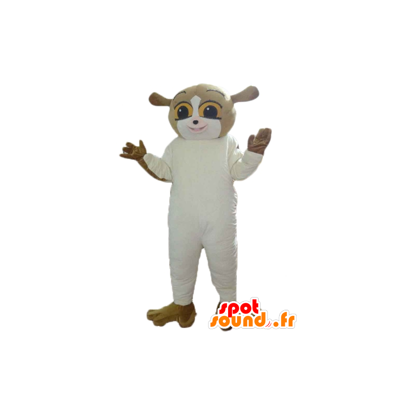 Eichhörnchen Maskottchen, braun und weiß lemur - MASFR23574 - Maskottchen Eichhörnchen