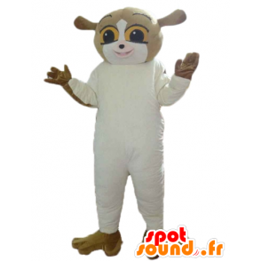 Squirrel mascot, brown and white lemur - MASFR23574 - Mascots squirrel