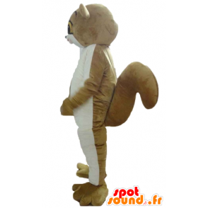 Ekorn maskot, brun og hvit lemur - MASFR23574 - Maskoter Squirrel