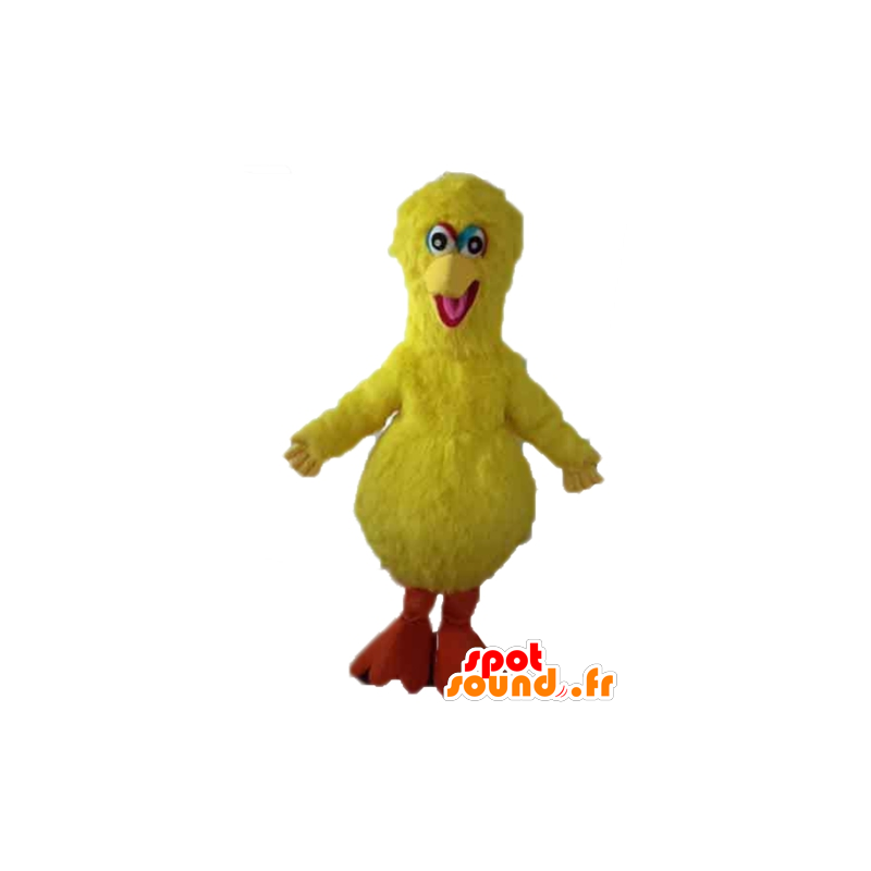 Big bird mascotte, beroemde gele vogel uit Sesamstraat - MASFR23595 - Celebrities Mascottes