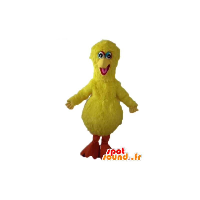 Mascote pássaro grande, pássaro amarelo famoso da Rua Sésamo - MASFR23595 - Celebridades Mascotes