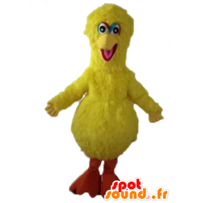 Big bird mascotte, beroemde gele vogel uit Sesamstraat - MASFR23595 - Celebrities Mascottes