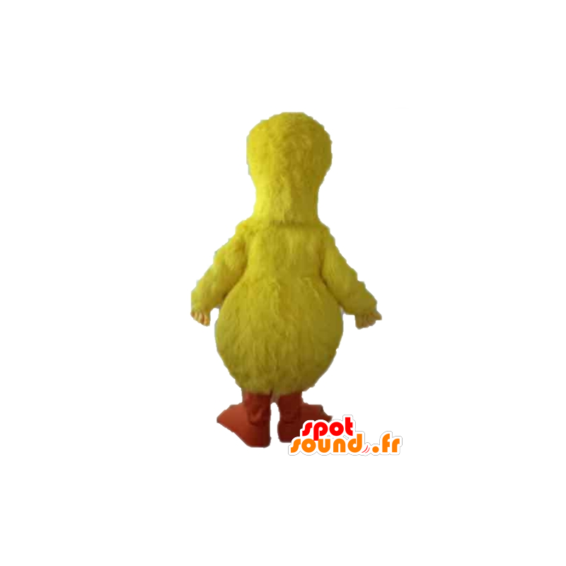 Purchase Mascot Big bird, yellow bird famous Sesame Street in Mascots
