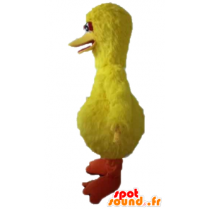 Velký pták maskot, slavný žlutý pták z Sesame Street - MASFR23595 - Celebrity Maskoti