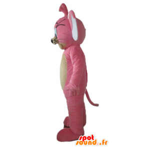 Mascotte de Jerry, la célèbre souris des Looney Tunes - MASFR23607 - Mascottes Tom and Jerry