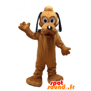 Mascot Pluto kuuluisa oranssi koira Disneyn Pluto - MASFR23620 - julkkikset Maskotteja