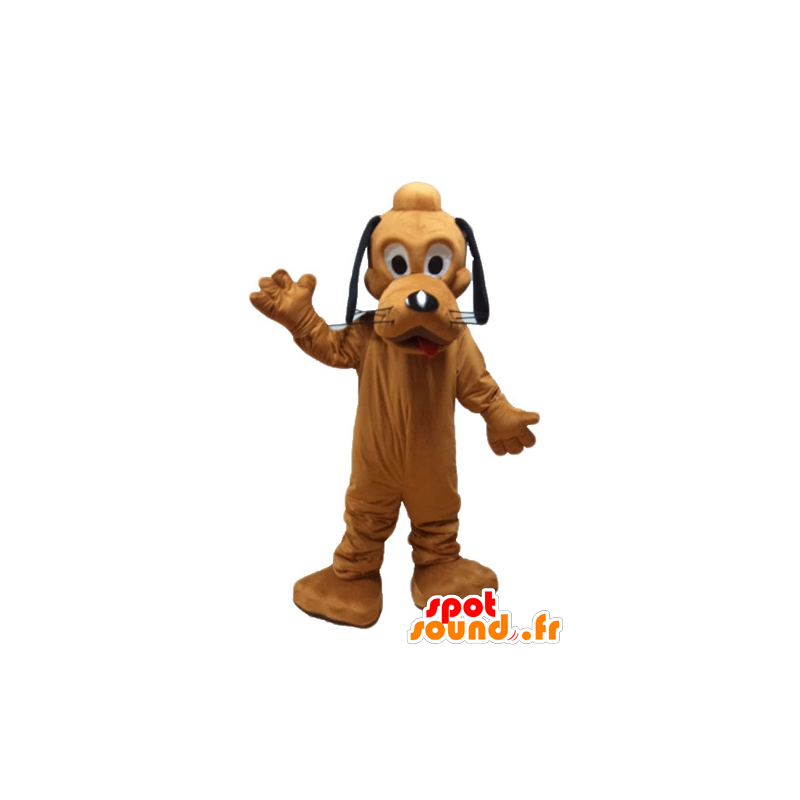 Mascot Pluto berühmten orangefarbenen Hund Disney Pluto - MASFR23620 - Maskottchen berühmte Persönlichkeiten