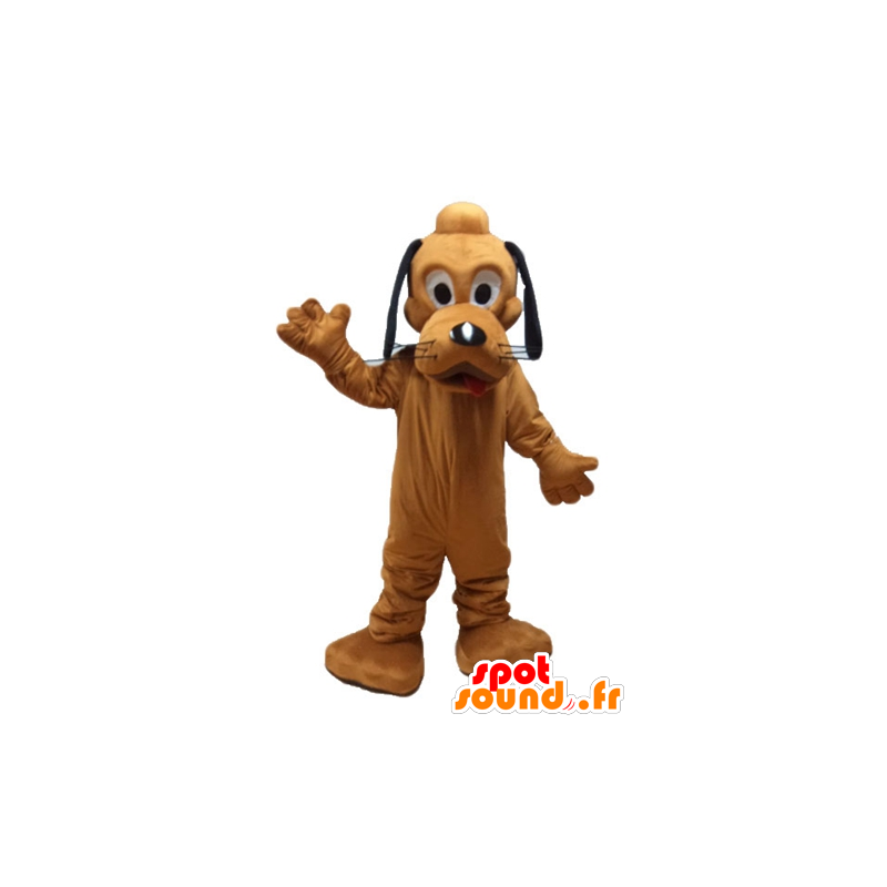 Mascot Pluto kuuluisa oranssi koira Disneyn Pluto - MASFR23620 - julkkikset Maskotteja
