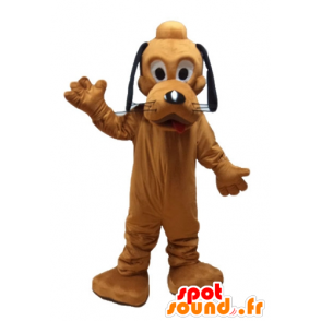 Pluto maskot, den berømte orange hund af Pluto fra Disney -