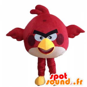 Mascotte d'oiseau rouge, du célèbre jeu Angry birds - MASFR23622 - Mascottes Personnages célèbres