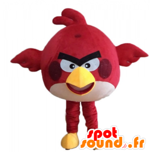 Red Bird mascot, the famous game Angry birds - MASFR23622 - Mascots famous characters