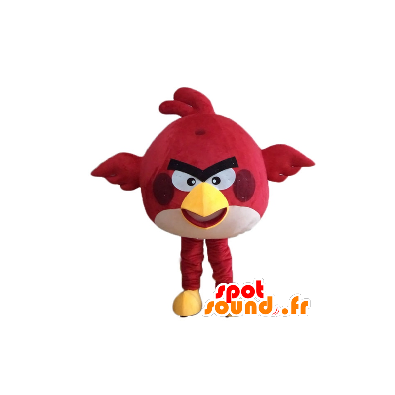 Mascota del pájaro rojo, el famoso juego Angry birds - MASFR23622 - Personajes famosos de mascotas