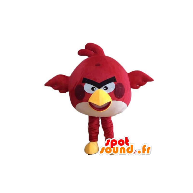 Red Bird mascot, the famous game Angry birds - MASFR23622 - Mascots famous characters